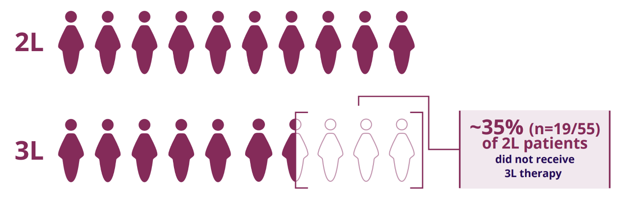 infographic comparing patients receiving 2L vs 3L therapy in HER2-positive metastatic breast cancer
