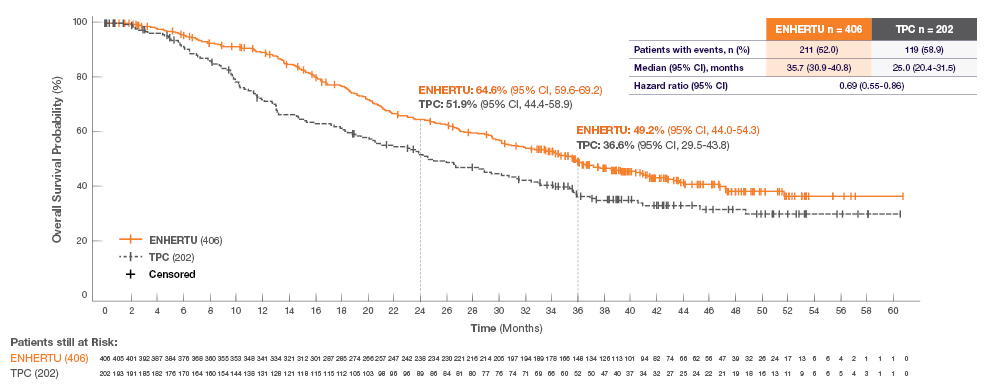 Graph of DESTINY-Breast02 overall survival, with mOS figures