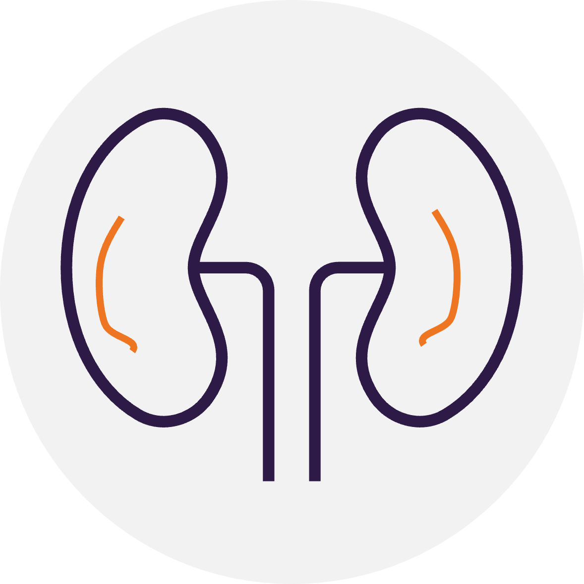 Icon of a pair of kidneys